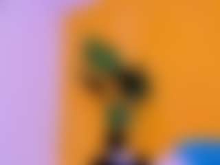 saracorraless's Live Sex Cam Show