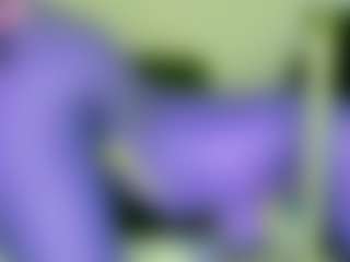 NATALIE-PARKER's Live Sex Cam Show
