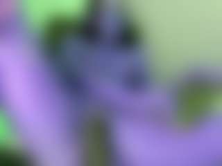 Live cam show with NATALIE-PARKER - Hairy Pussy on Soda Cam