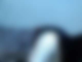 Live cam show with CallmeAmber - Camel Toe on CamSodaAdn
