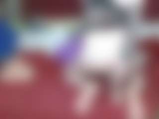 elena-evans's Live Sex Cam Show