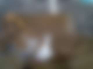 senoritah's Live Sex Cam Show