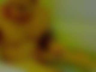 ShadowV5551's Live Sex Cam Show