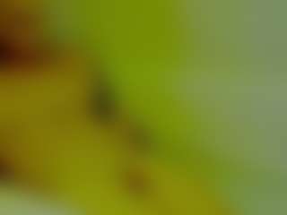 Show de cam sexual en vivo de ShadowV5551