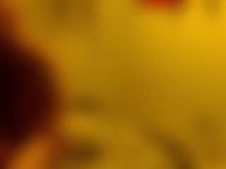 SlamminSammy506's Live Sex Cam Show