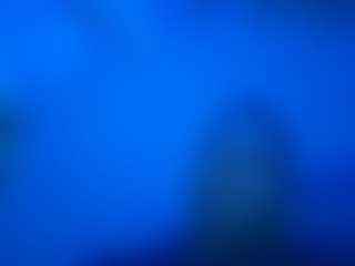bballsg29's Live Sex Cam Show