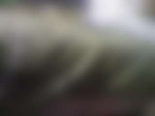 lesjuschill's Live Sex Cam Show