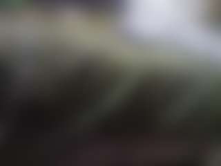 lesjuschill's Live Sex Cam Show