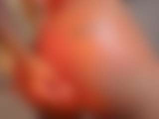 Live cam show with Rouse-hallberg - Sexwebcam Asian on livesexfox.com