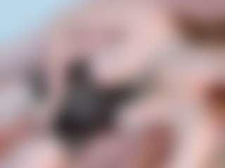 LiillyRousse's Live Sex Cam Show