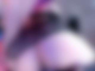 Live cam show with Broklin white - Blonde Hair Fetish on SxyPornLive
