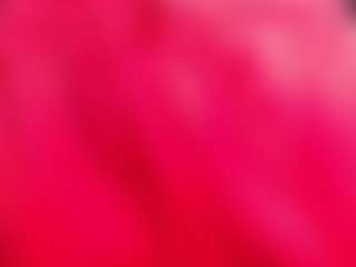 ThickD2C's Live Sex Cam Show