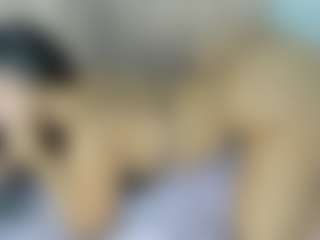 Live cam show with Sia - Twerking on parknlotfishbdy