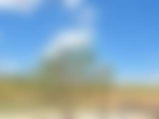 ncpjr's Live Sex Cam Show