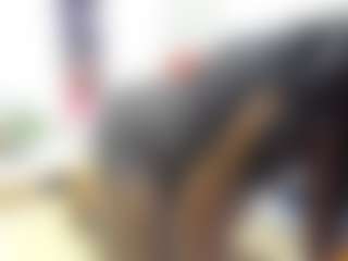 Show de cam en direct de User 565