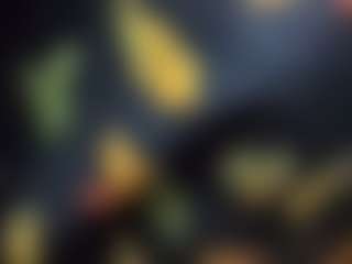 Live cam show with Alanahsinns - Huge Tits on Hubzter Live