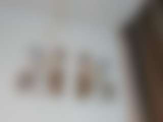Dulce Melodia's Live Sex Cam Show