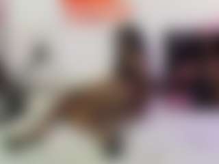 Live cam show with eveissey - Chubby on Gym Cam Girls