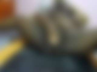 Live cam show with happysonia - Anal on luckytryst.com