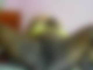 happysonia's Live Sex Cam Show