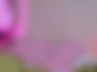 Show de cam en vivo con KatieMelone - Emo en Camsoda