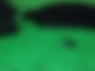 Papipolla's Live Sex Cam Show