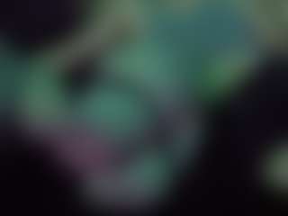 Papipolla's Live Sex Cam Show