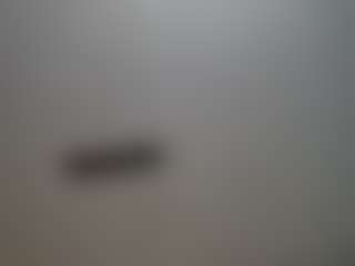 Papipolla's Live Sex Cam Show