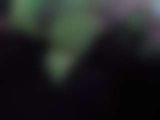 Papipolla's Live Sex Cam Show