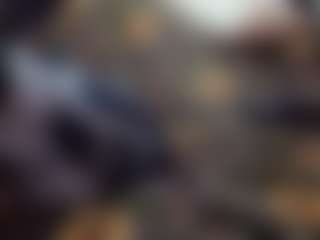 Live-Cam-Show mit Papipolla - Tattoos auf Camsoda