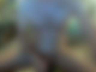 sideshowcan's Live Sex Cam Show