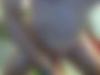 sideshowcan's Live Sex Cam Show