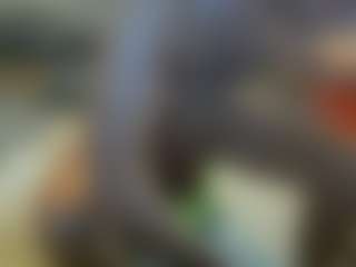 Show de cam sexual en vivo de sideshowcan