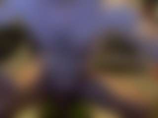 sideshowcan's Live Sex Cam Show