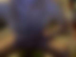 sideshowcan's Live Sex Cam Show