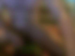 sideshowcan's Live Sex Cam Show