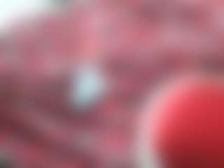 sideshowcan's Live Sex Cam Show
