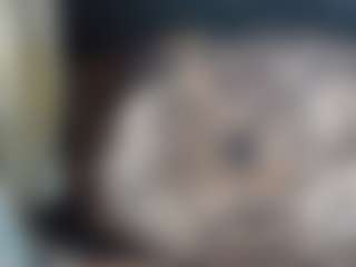 Show de Sexo ao Vivo na Câmera de BombomGill