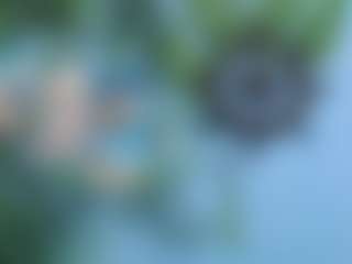 scolealia0's Live Sex Cam Show