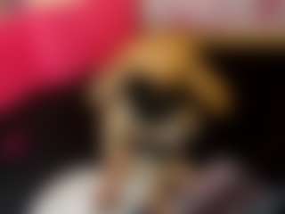 LaChula's Live Sex Cam Show