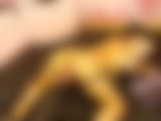 LaChula's Live Sex Cam Show