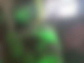 the quiet room's Live Sex Cam Show