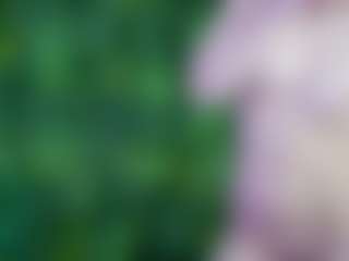 MayaRayy's Live Sex Cam Show