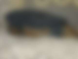 Live cam show with Chloeromantic - Riding on CamClone