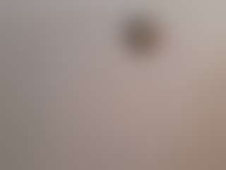 tntshabalive02's Live Sex Cam Show