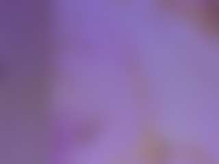 JEYVAZQUEZ's Live Sex Cam Show