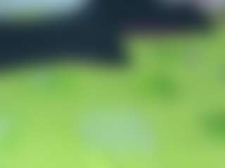 sean pierre's Live Sex Cam Show