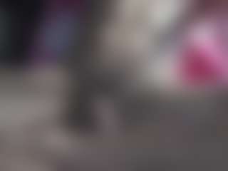 Show de cam en direct de axel-ag05