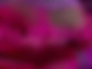 Live cam show with nikol-kitt - Public Brown Hair on Camsoda