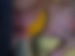 wolfgangjerker's Live Sex Cam Show